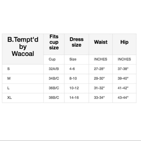 Lace Bodysuit NWOT - Picture 7 of 10